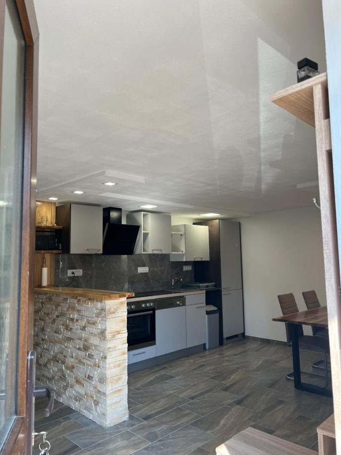 Apartma Rocica *